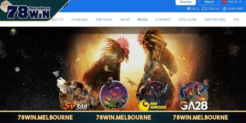 Đá gà 78WIN là loại hình cá cược trực tuyến hiện đại