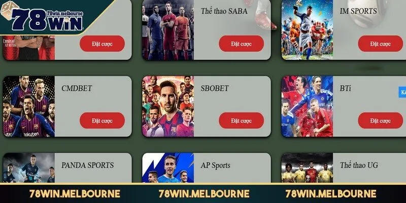 Hệ thống môn thể thao phong phú khó quên tại thể thao 78WIN